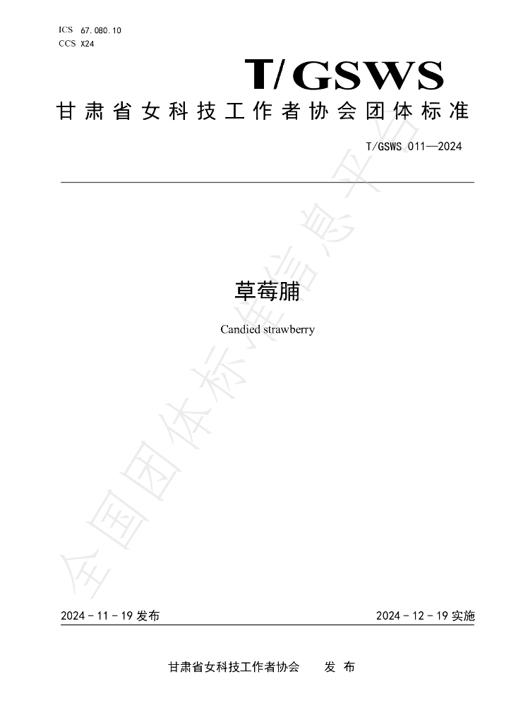 T/GSWS 011-2024 标准预览