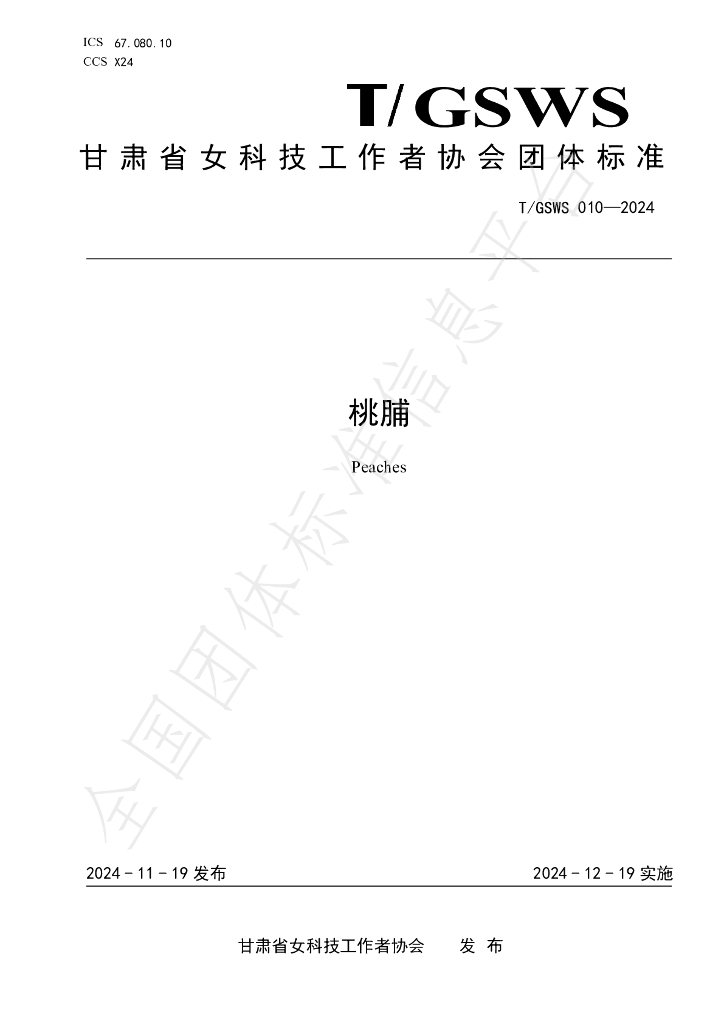 T/GSWS 010-2024 标准预览