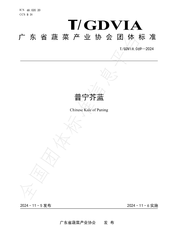 T/GDVIA 069-2024 标准预览