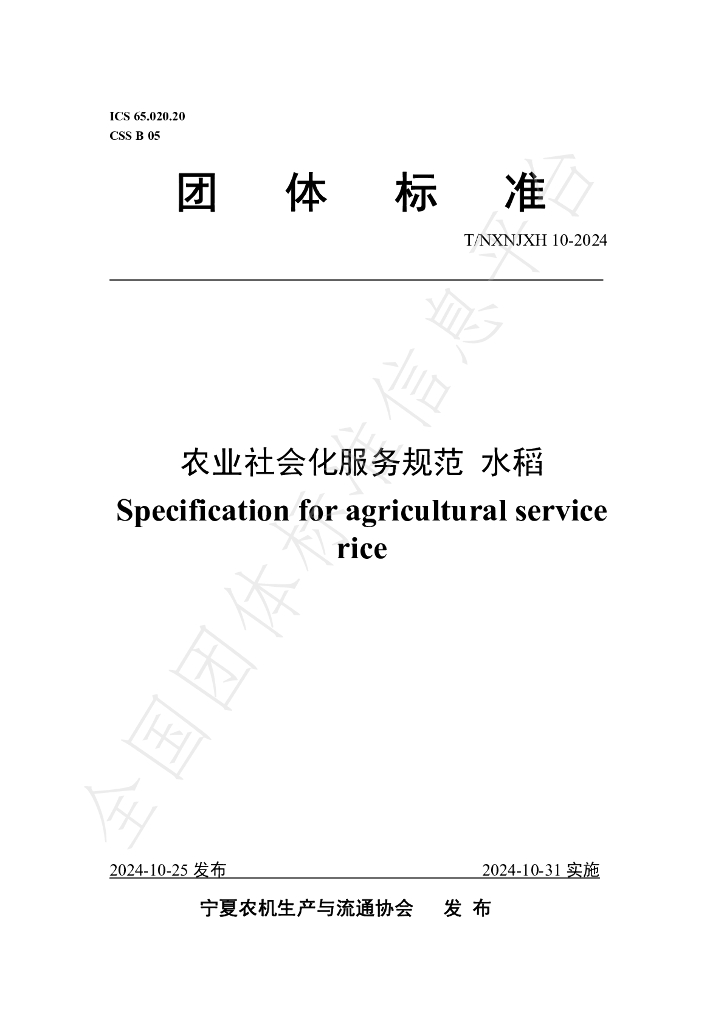 T/NXNJXH 10-2024 标准预览