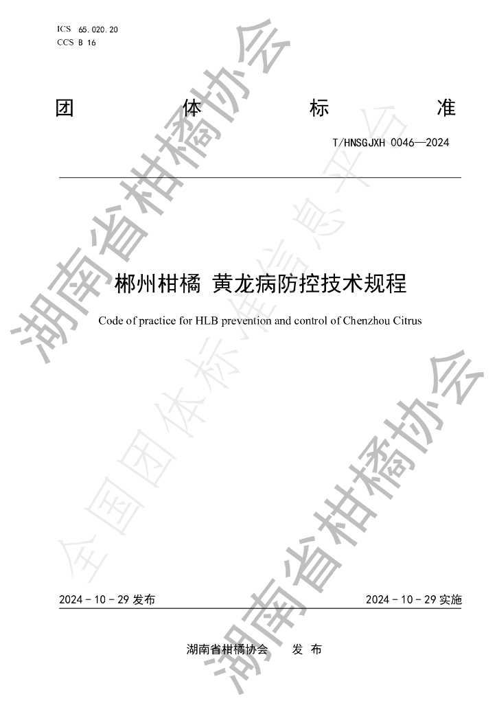 T/HNSGJXH 0046-2024 标准预览