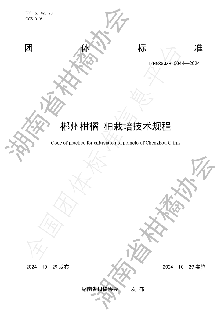 T/HNSGJXH 0044-2024 标准预览