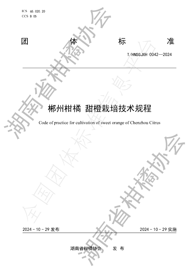 T/HNSGJXH 0042-2024 标准预览