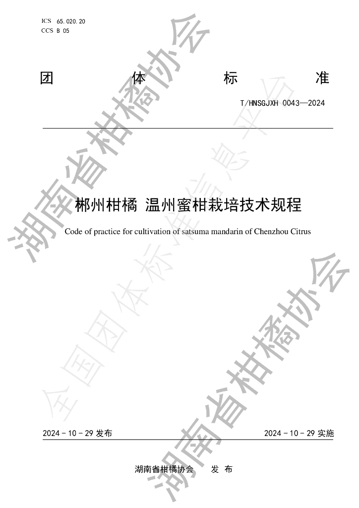T/HNSGJXH 0043-2024 标准预览