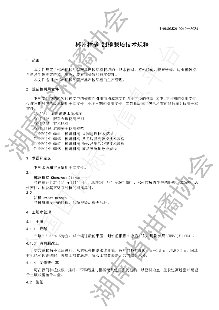T/HNSGJXH 0042-2024 标准预览