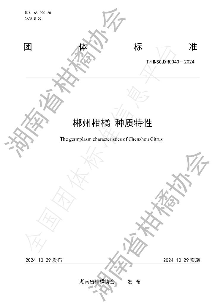 T/HNSGJXH 0040-2024 标准预览