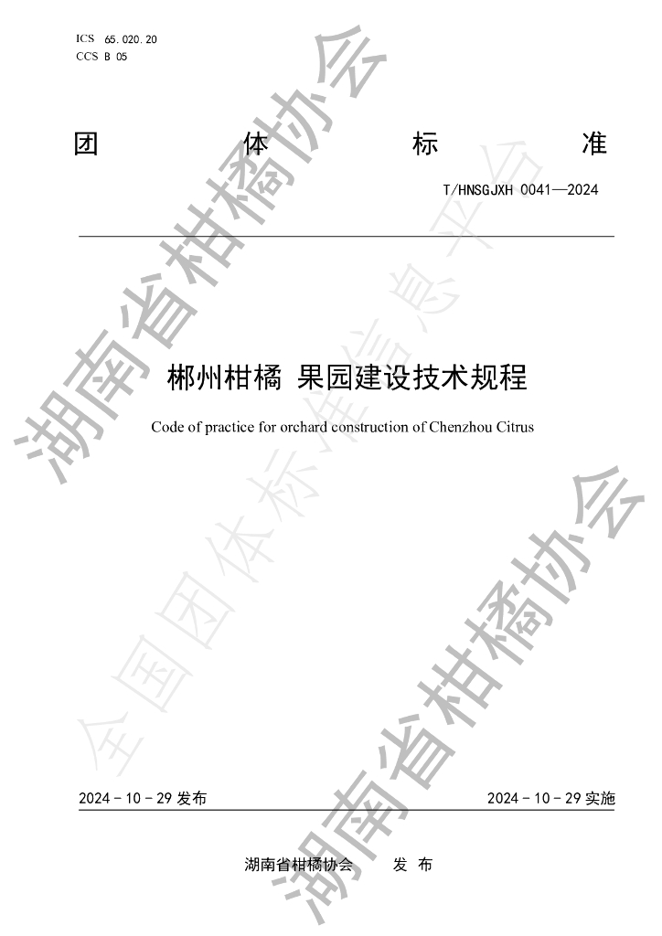 T/HNSGJXH 0041-2024 标准预览
