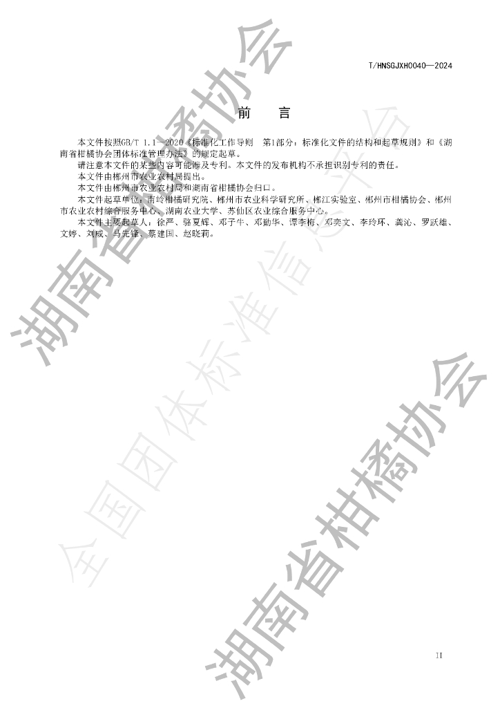 T/HNSGJXH 0040-2024 标准预览