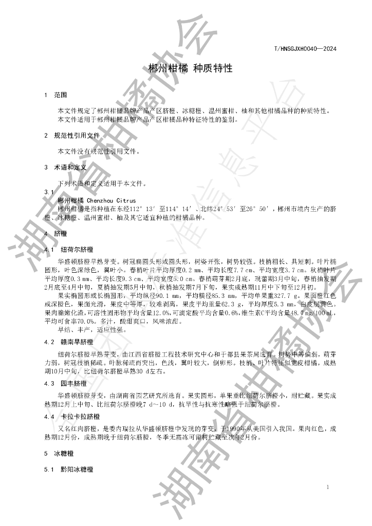 T/HNSGJXH 0040-2024 标准预览