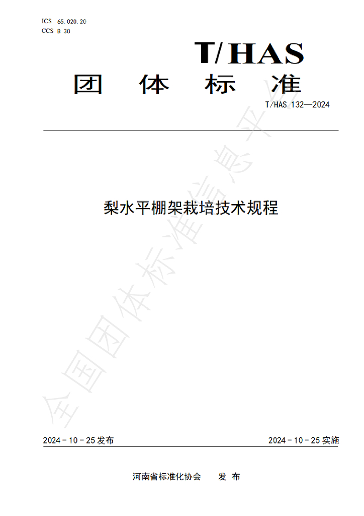 T/HAS 132-2024 标准预览