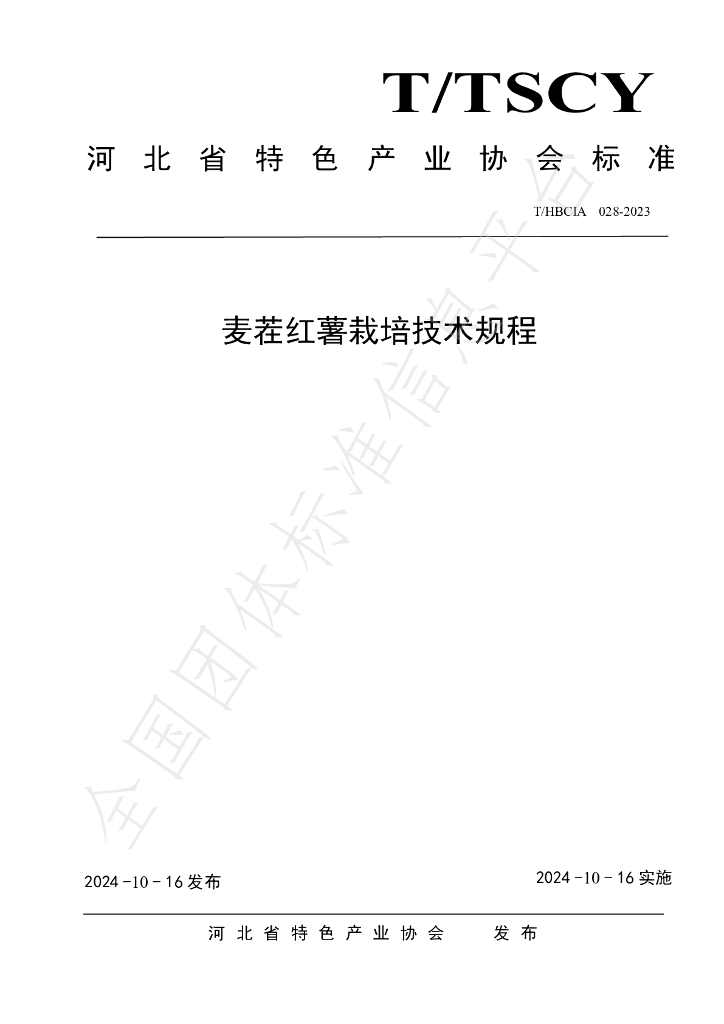 T/HBCIA 028-2024 标准预览