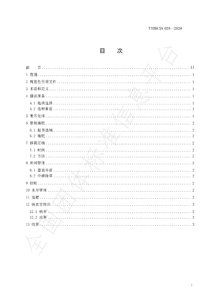 T/HBCIA 028-2024 标准预览