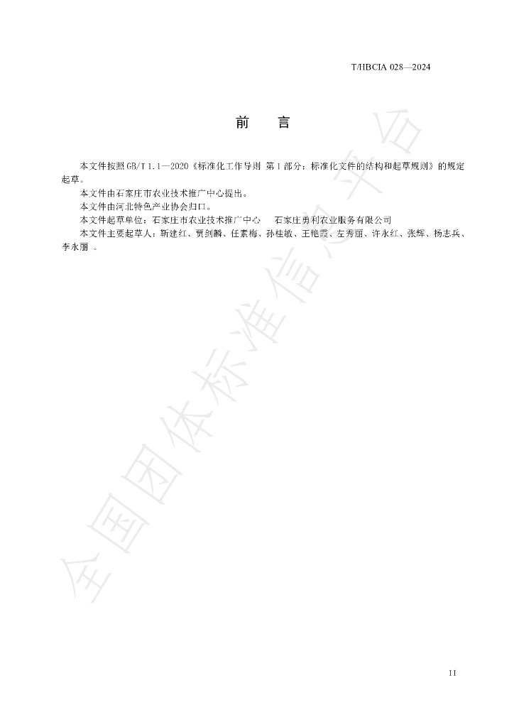 T/HBCIA 028-2024 标准预览