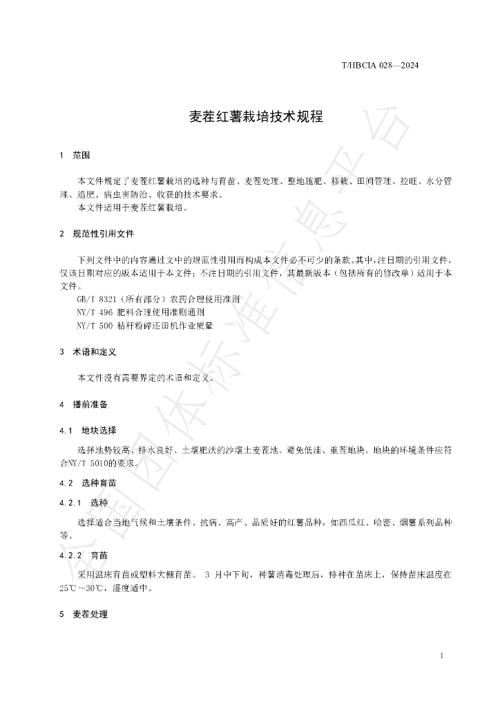 T/HBCIA 028-2024 标准预览