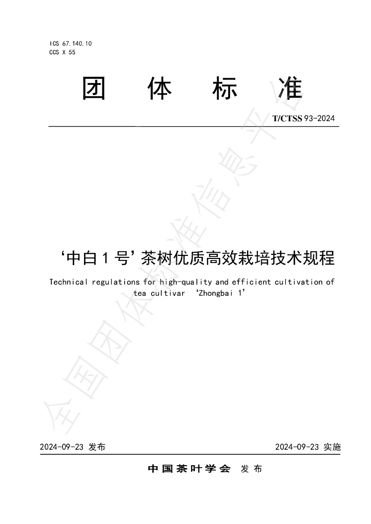 T/CTSS 93-2024 标准预览