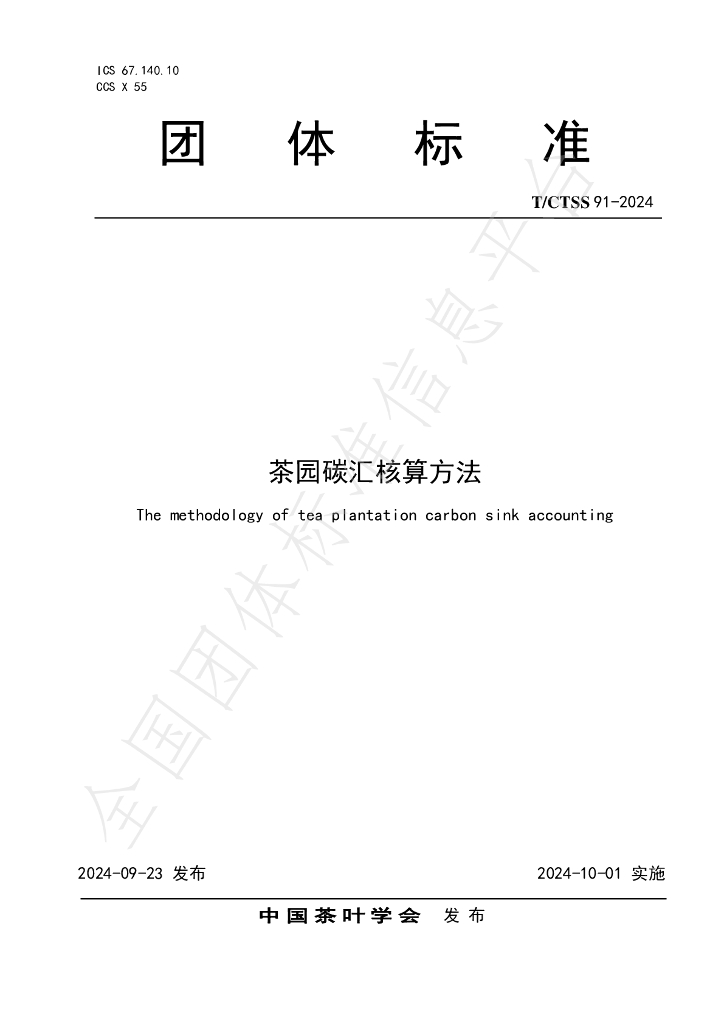 T/CTSS 91-2024 标准预览
