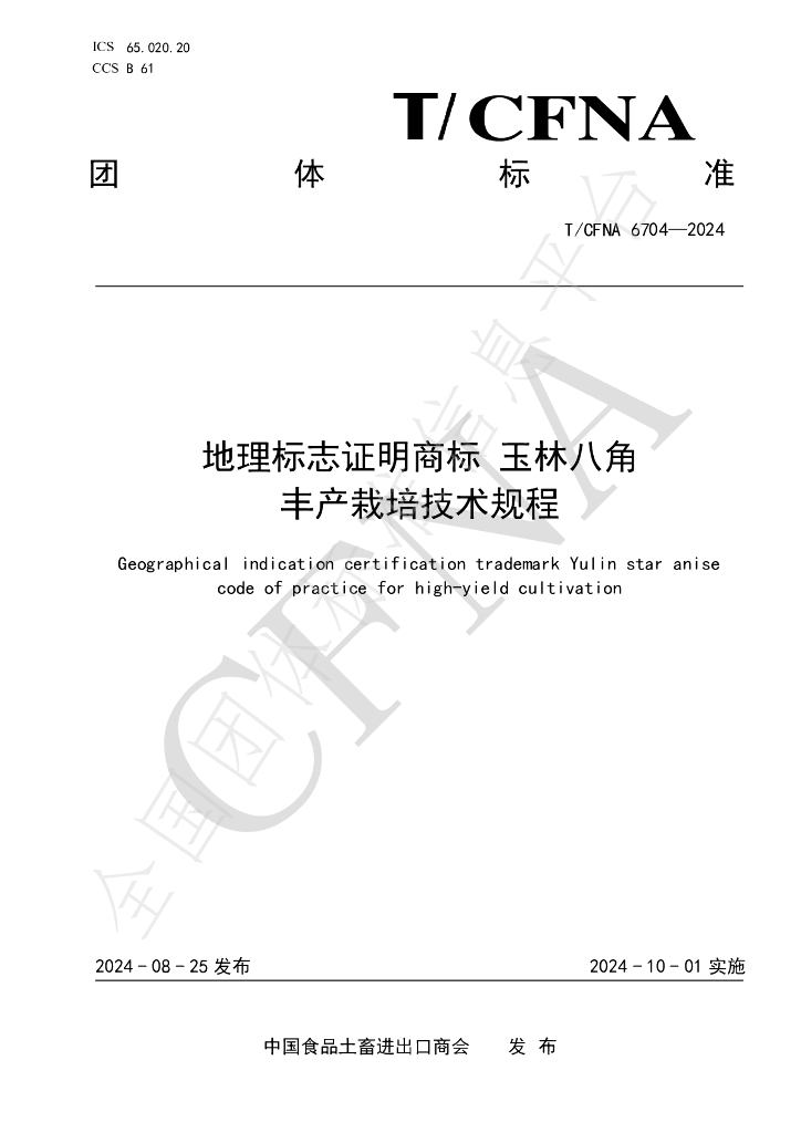 T/CFNA 6704-2024 标准预览
