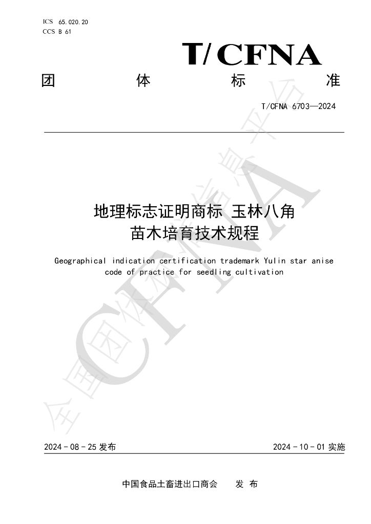 T/CFNA 6703-2024 标准预览