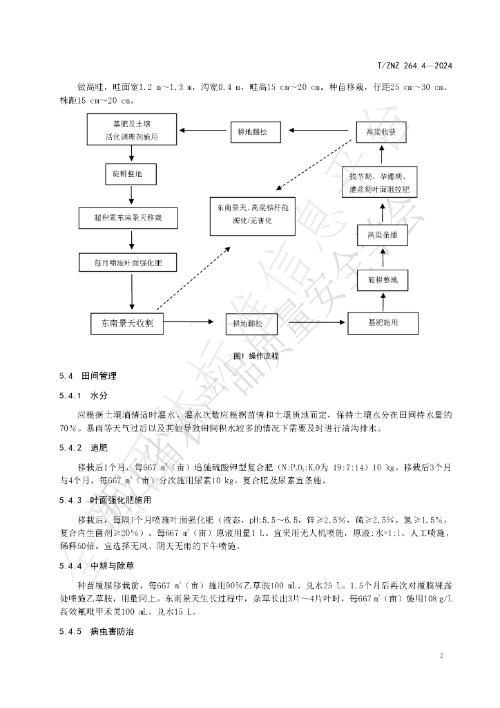 T/ZNZ 264.4-2024 标准预览