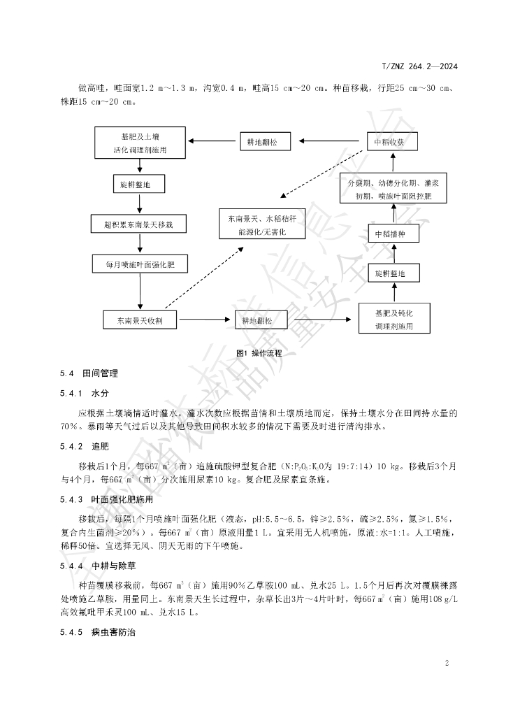T/ZNZ 264.2-2024 标准预览