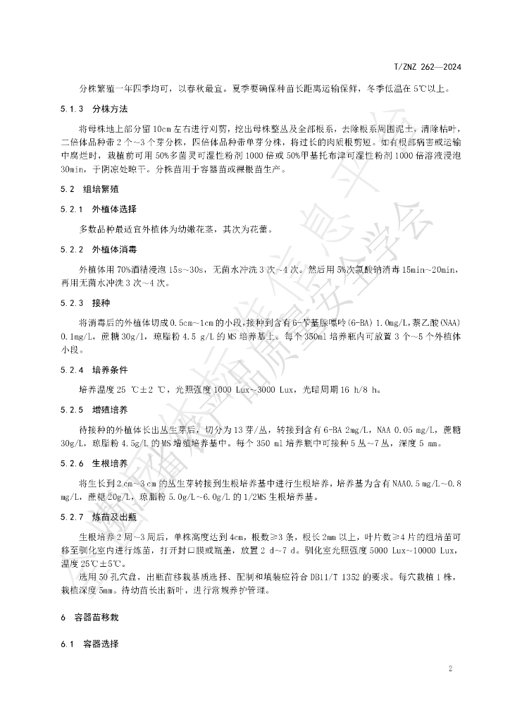T/ZNZ 262-2024 标准预览
