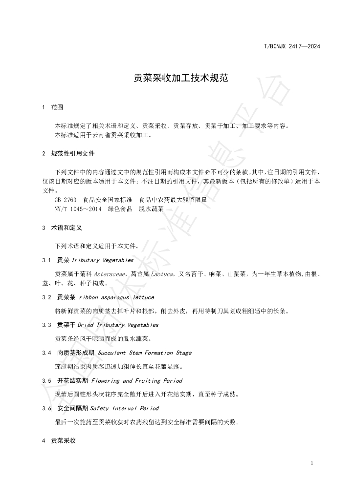 T/BCNJX 2417-2024 标准预览