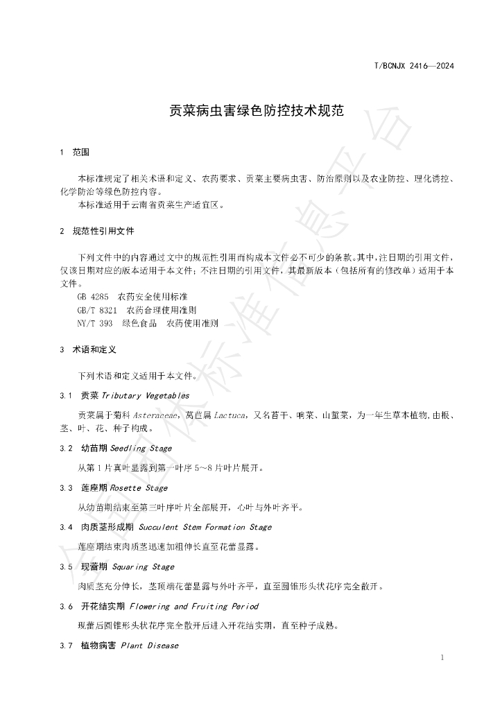 T/BCNJX 2416-2024 标准预览