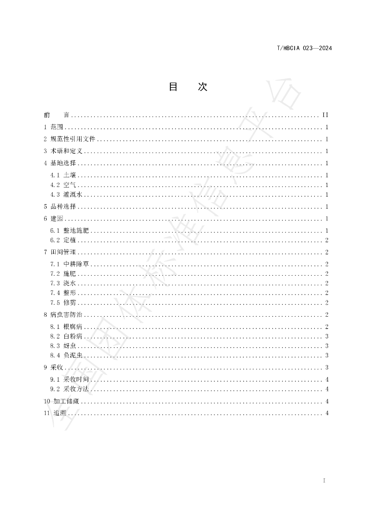 T/HBCIA 023-2024 标准预览