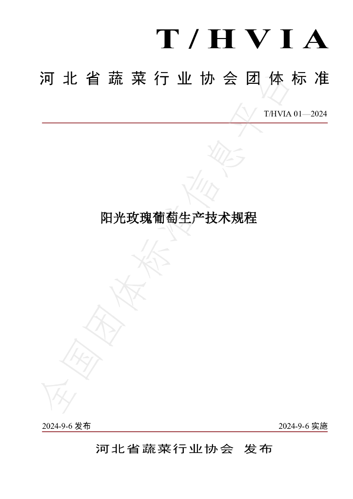 T/HVIA 01-2024 标准预览