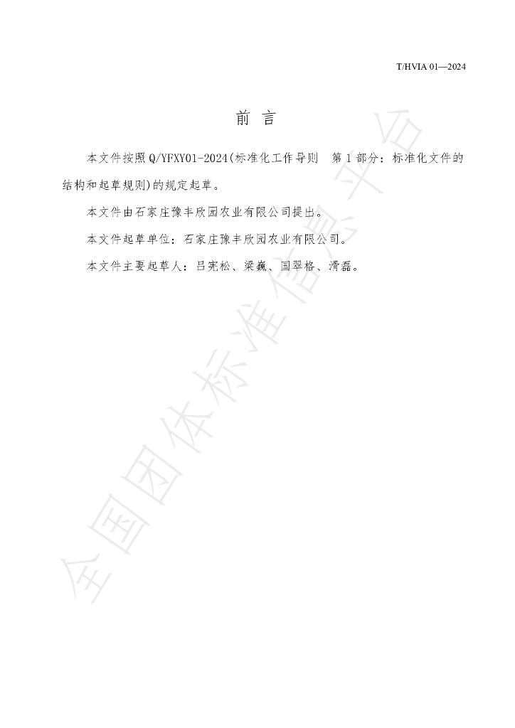 T/HVIA 01-2024 标准预览