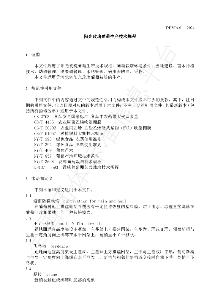 T/HVIA 01-2024 标准预览
