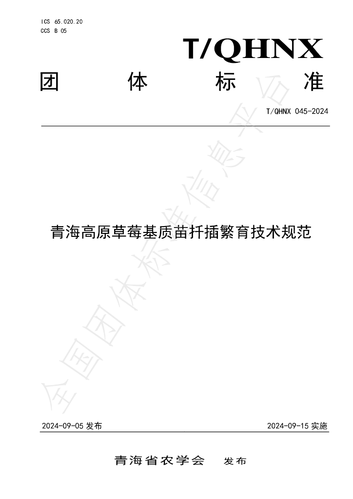 T/QHNX 045-2024 标准预览