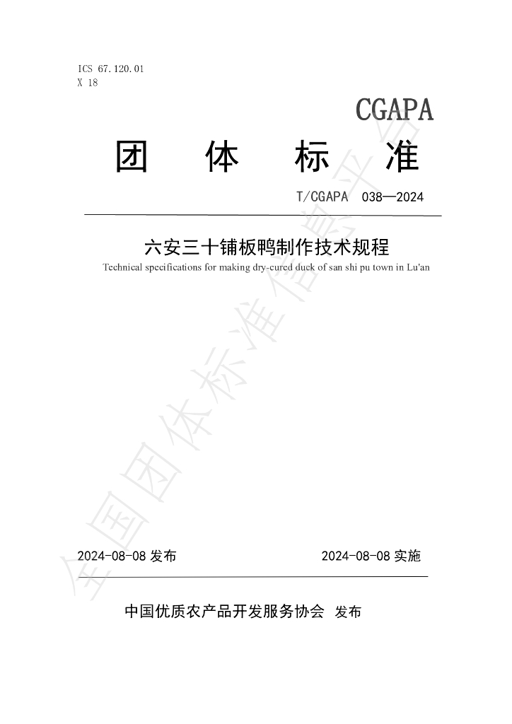 T/CGAPA 038-2024 标准预览