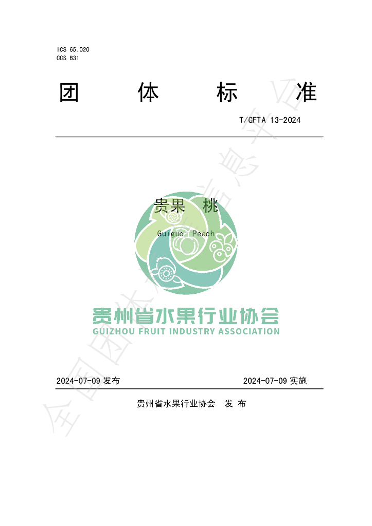 T/GFTA 13-2024 标准预览
