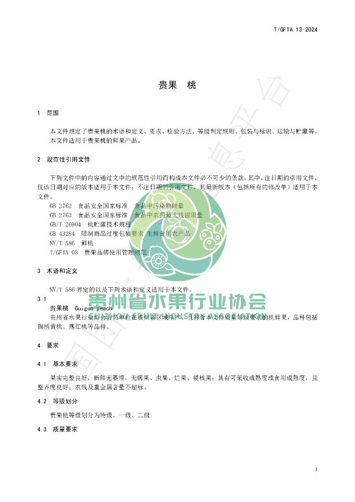 T/GFTA 13-2024 标准预览