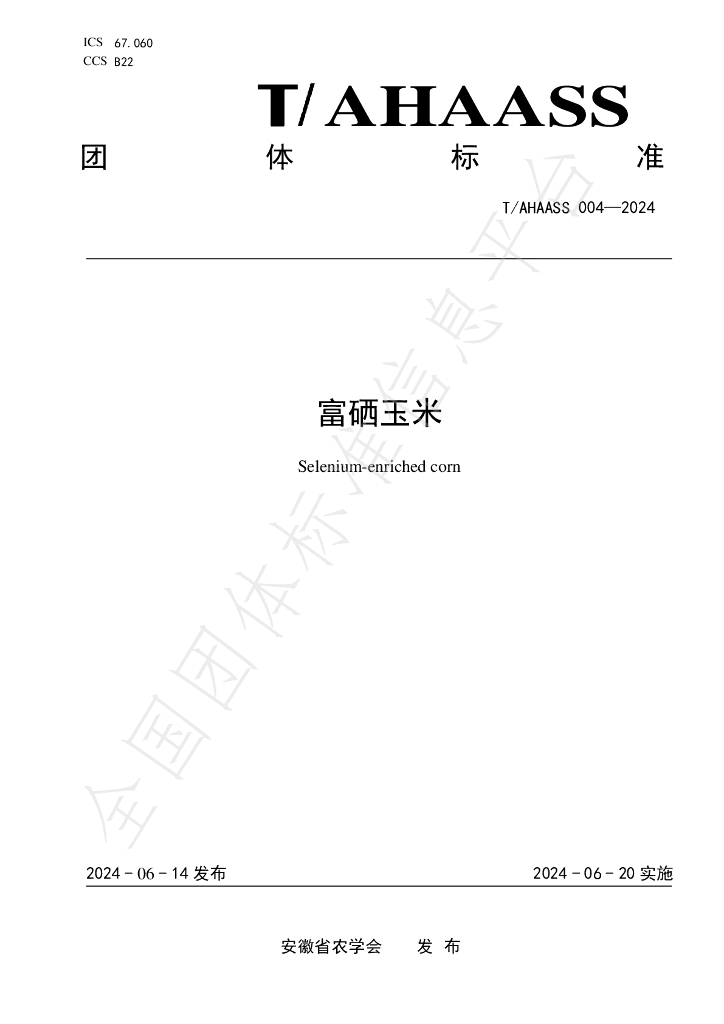T/AHAASS 004-2024 标准预览