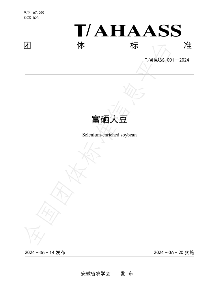 T/AHAASS 001-2024 标准预览