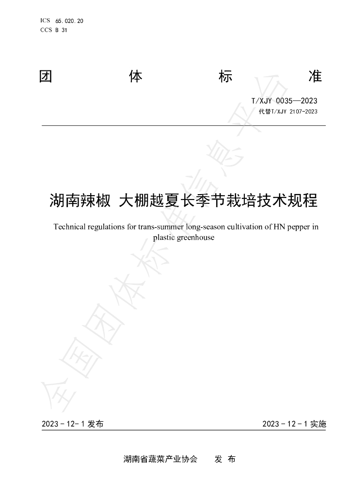 T/XJY 0035-2023 标准预览