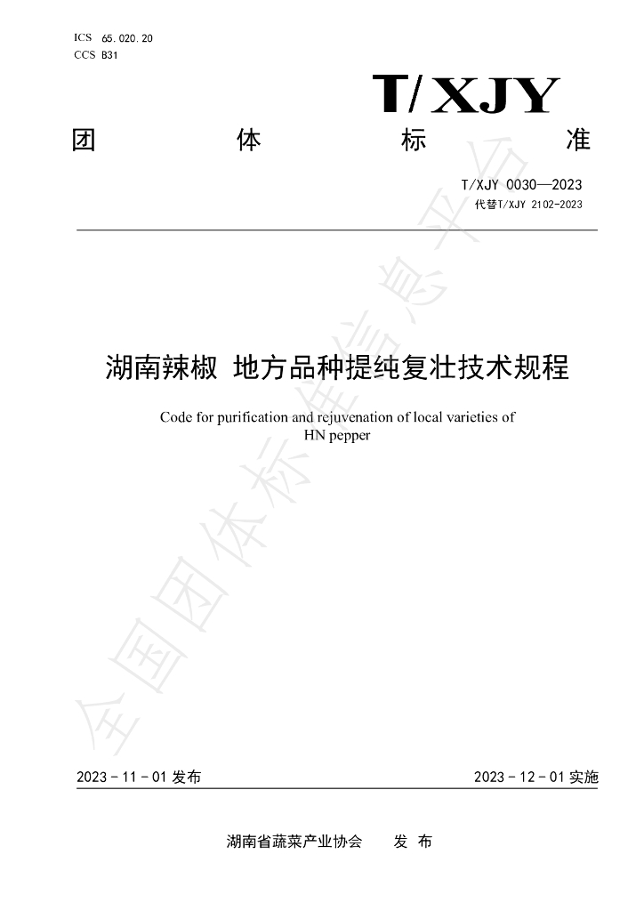 T/XJY 0030-2023 标准预览