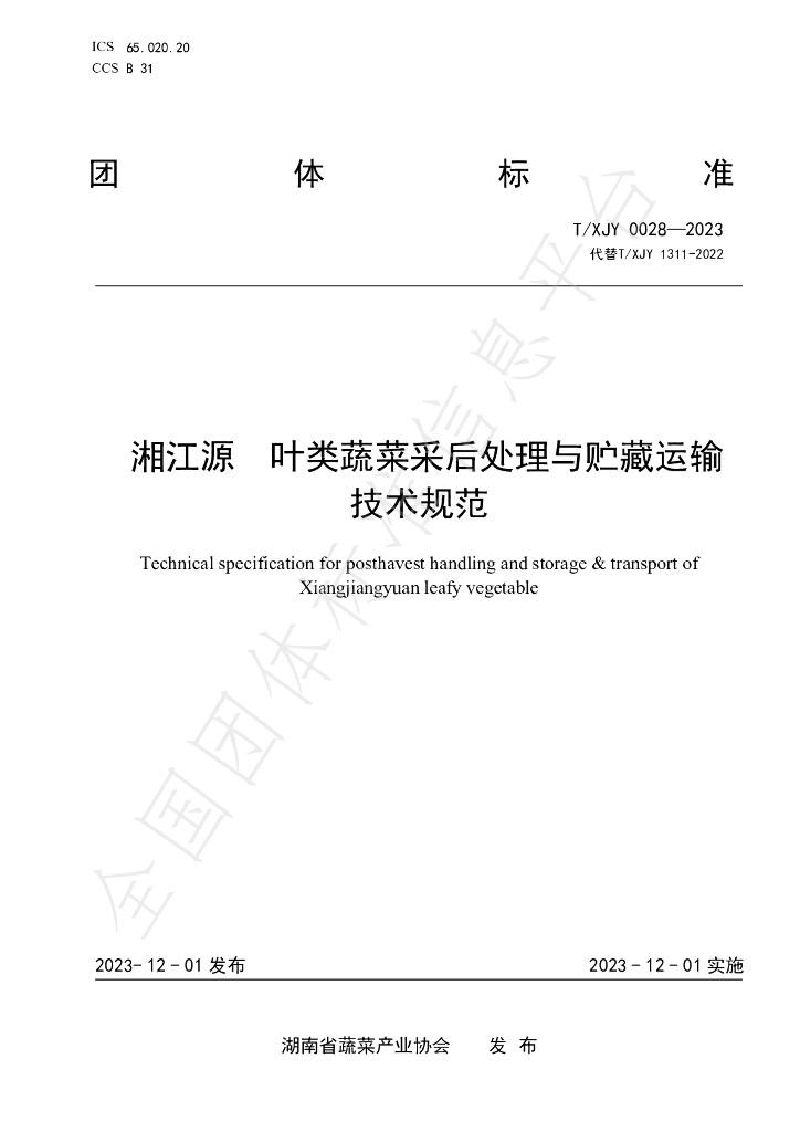 T/XJY 0028-2023 标准预览