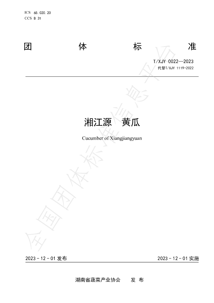 T/XJY 0022-2023 标准预览