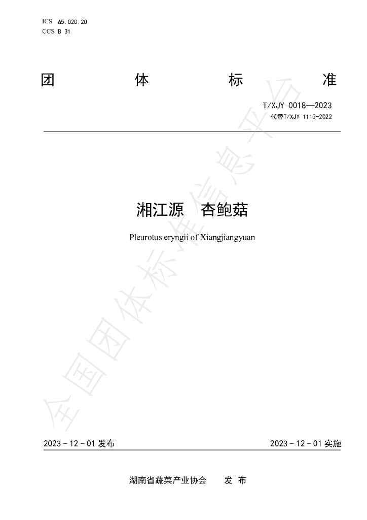 T/XJY 0018-2023 标准预览