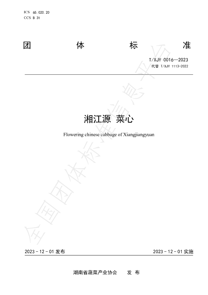 T/XJY 0016-2023 标准预览