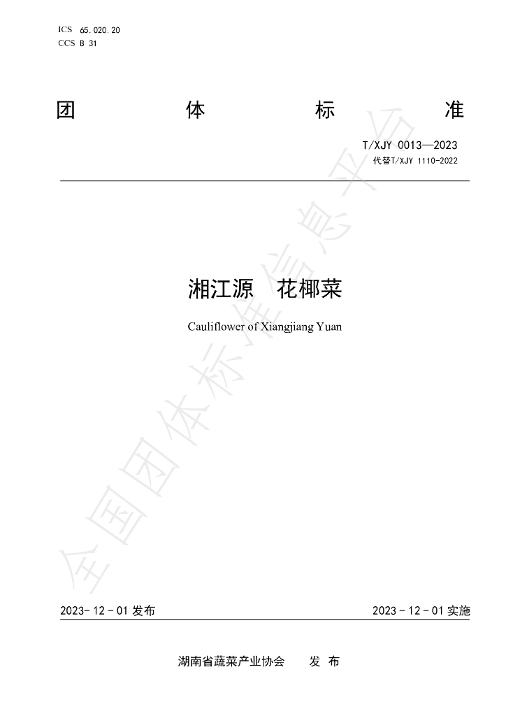 T/XJY 0013-2023 标准预览