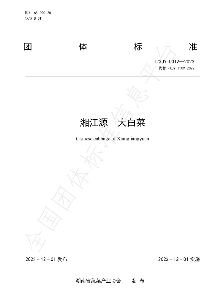 T/XJY 0012-2023 标准预览