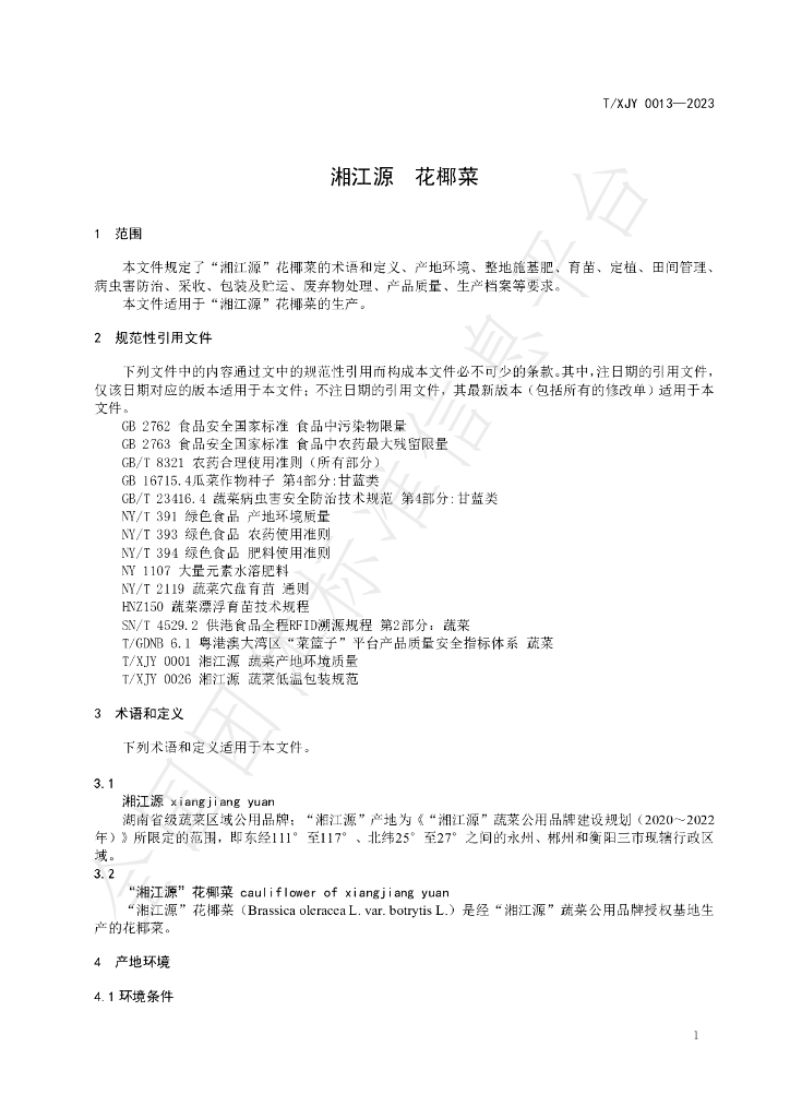T/XJY 0013-2023 标准预览