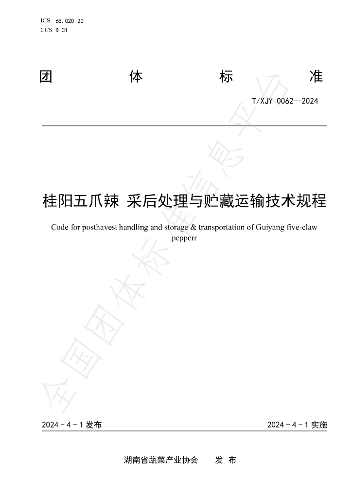 T/XJY 0062-2024 标准预览