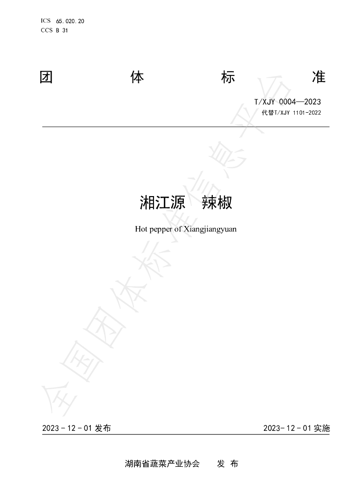 T/XJY 0004-2023 标准预览