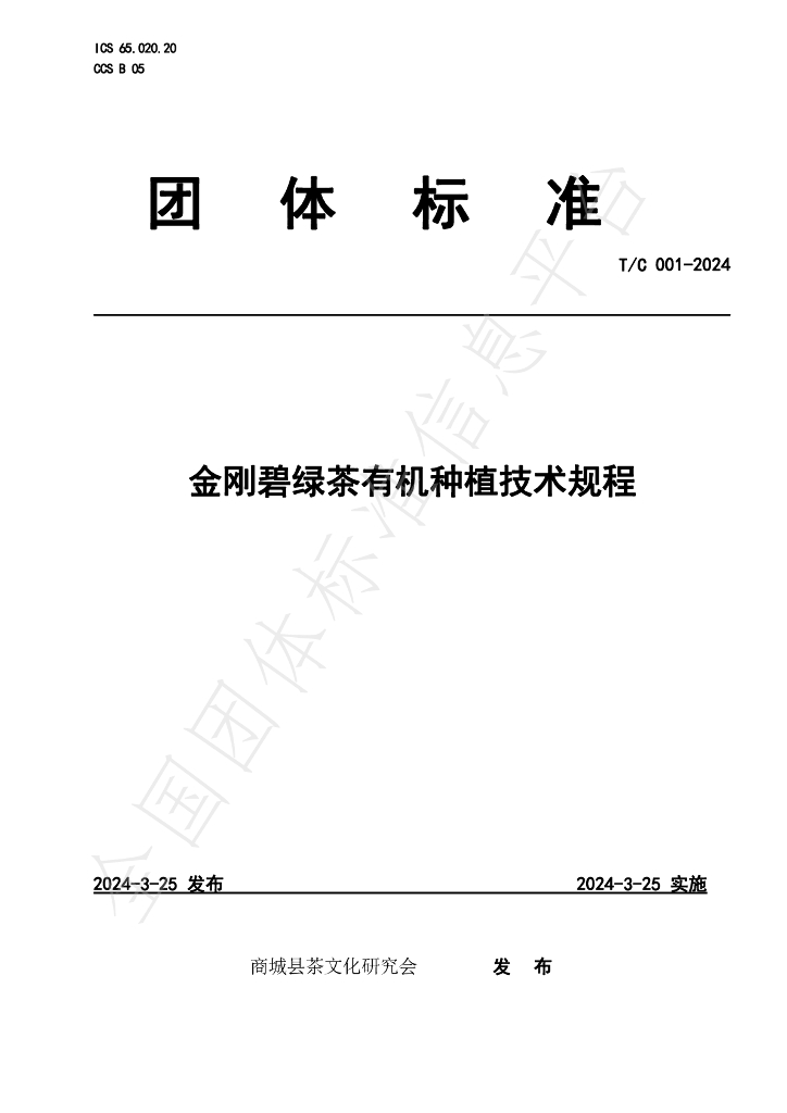 T/C 001-2024 标准预览