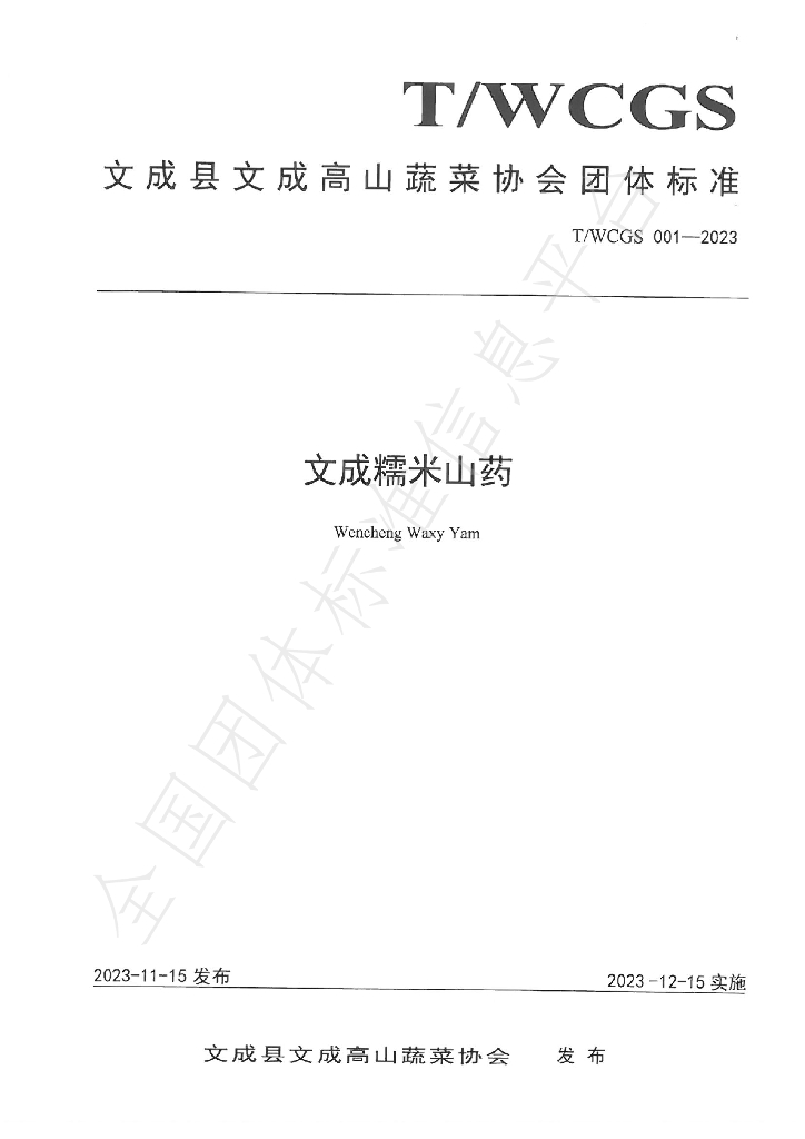 T/WCGS 001-2023 标准预览